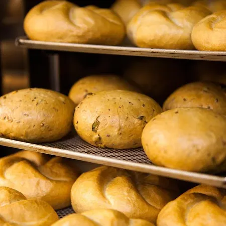 Fruehstueckshotel Birkenhof Отель Раурис